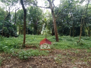 Dijual Tanah Di Cipayung, Jakarta Timur