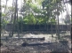 IMG-20220923-WA0011.jpg