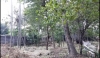 IMG-20220923-WA0012.jpg