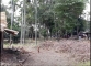 IMG-20220923-WA0013.jpg