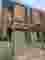 snapedit_1729832056360.jpg