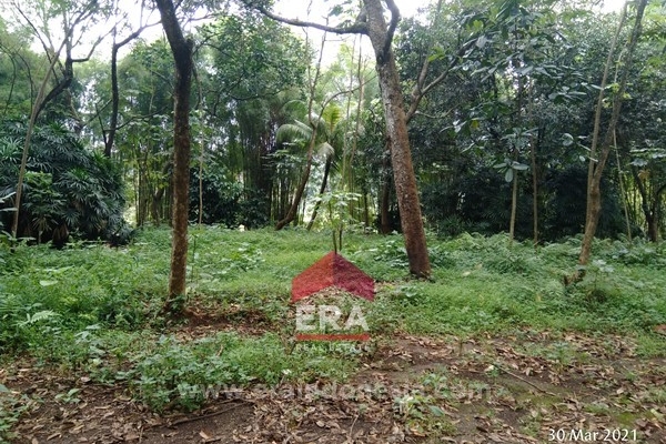 O047021.jpg