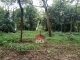O047021.jpg