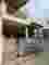 snapedit_1747887849994.jpg
