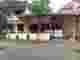 snapedit_1748328973967.jpg
