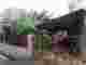 snapedit_1749710237343.jpg