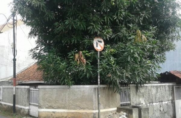 Dijual Rumah Tua Hitung Tanah Di Tebet Barat