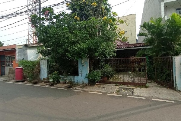 snapedit_1758267495830.jpg