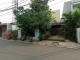 snapedit_1758267495830.jpg