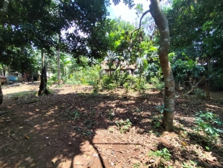 Dijual Tanah Di Wisma Asri Cibening Kab Bekasi