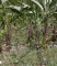 IMG_20260611_162626.jpg